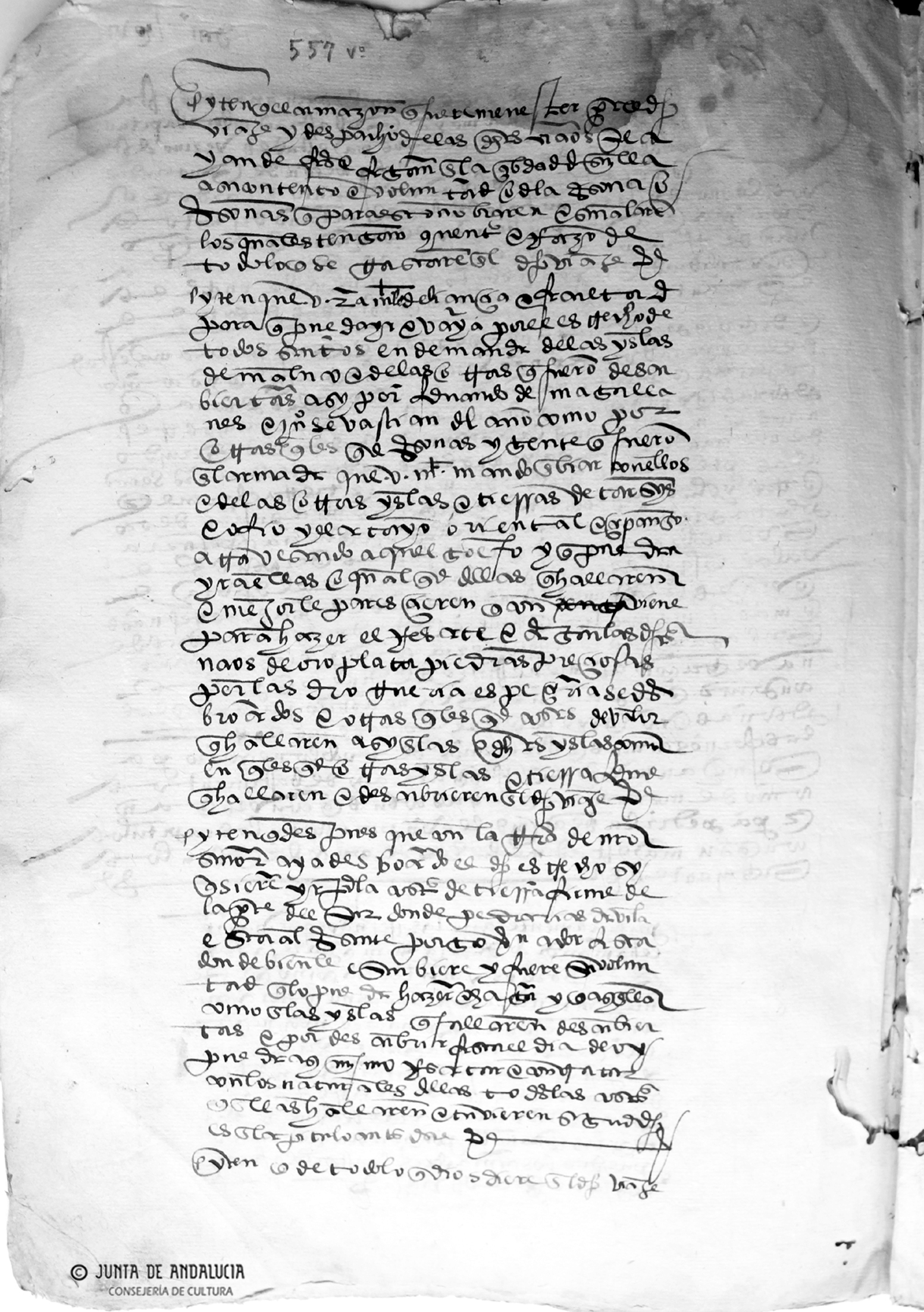 Genoa Archive Document